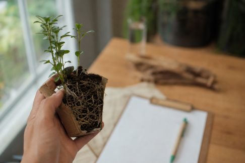 Comment les nouvelles normes environnementales influencent-elles les dynamiques de marché ?